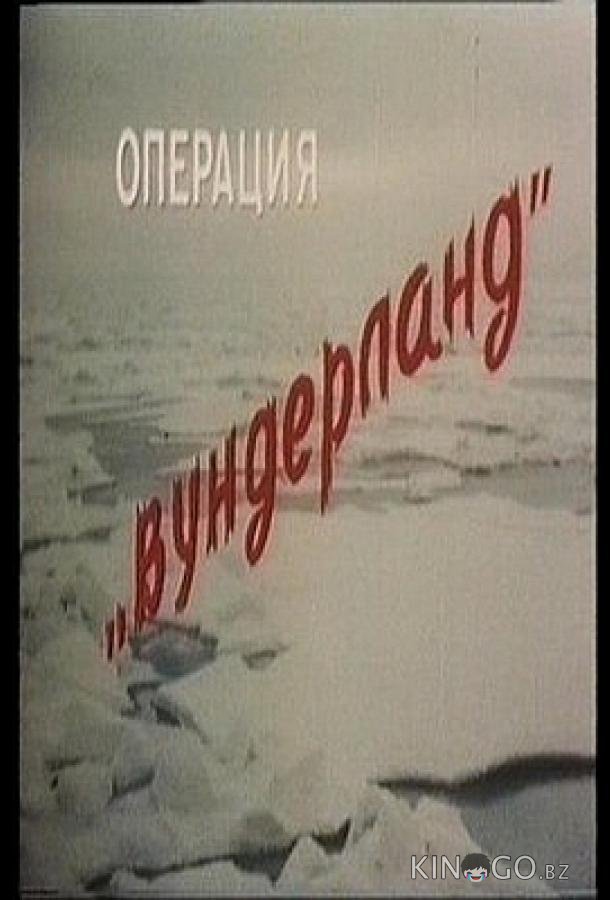 Операция Вундерланд 