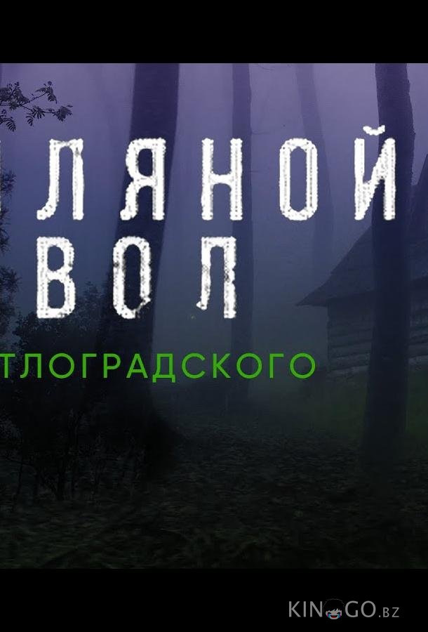 Земляной дьявол. Дело светлоградского маньяка 