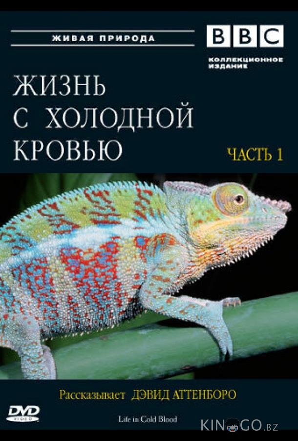 BBC: Жизнь с холодной кровью 1 5