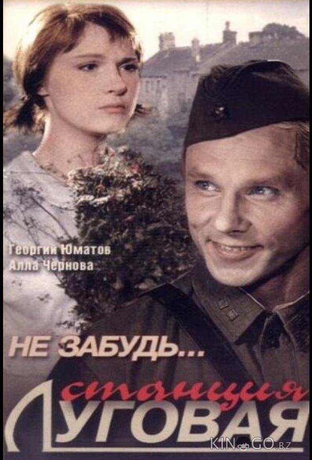 Не забудь... станция Луговая 
