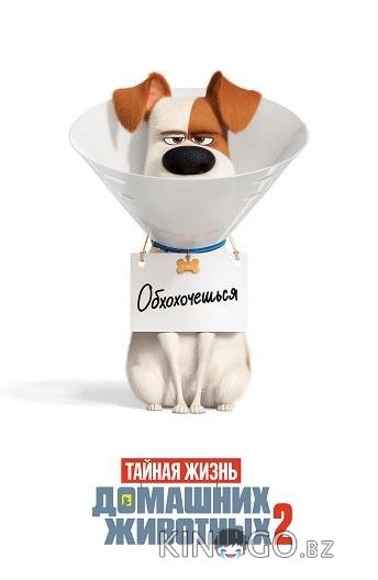 Тайная жизнь домашних животных 2 