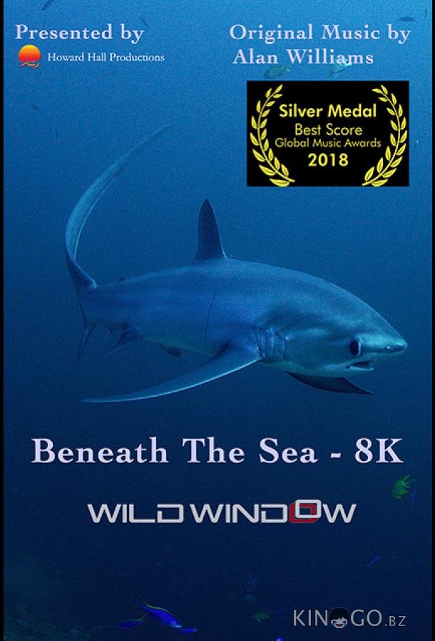 Wild Window: Beneath the Sea 