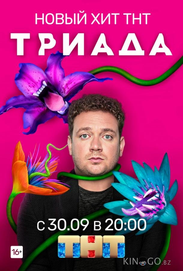 Триада 2 16