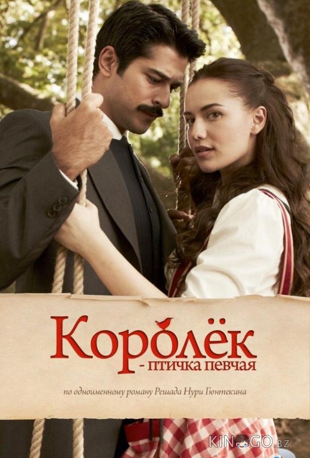 Королёк – птичка певчая 1 30
