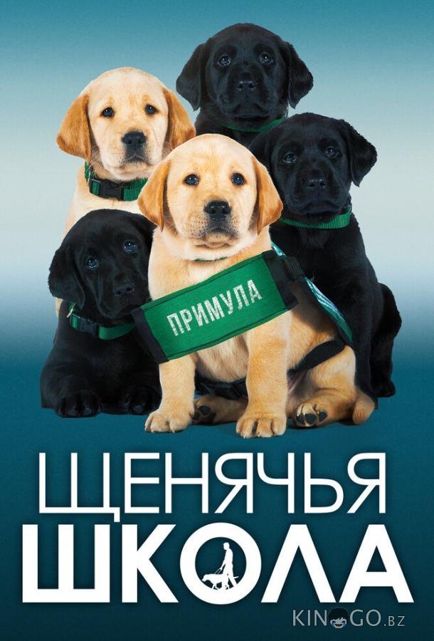 Щенячья школа 