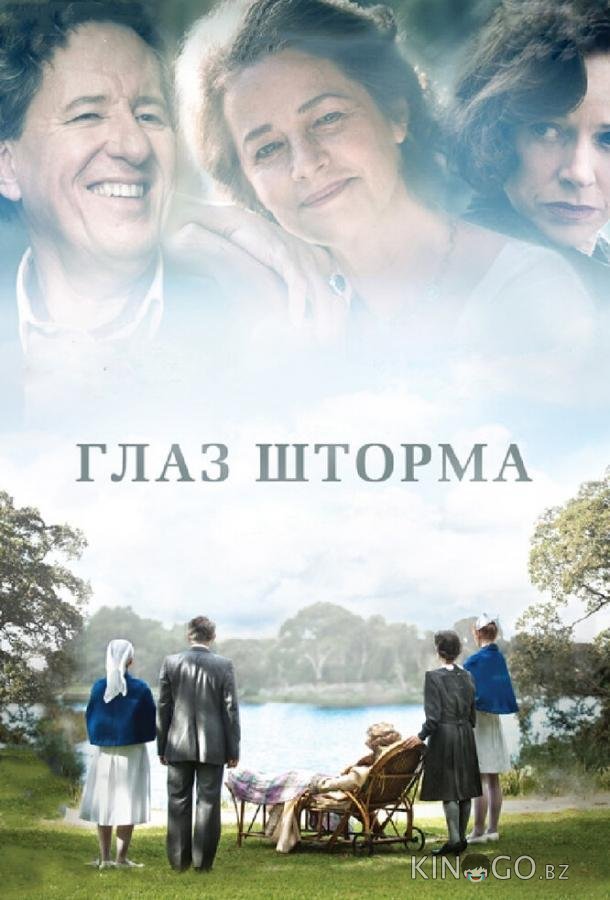 Глаз шторма 
