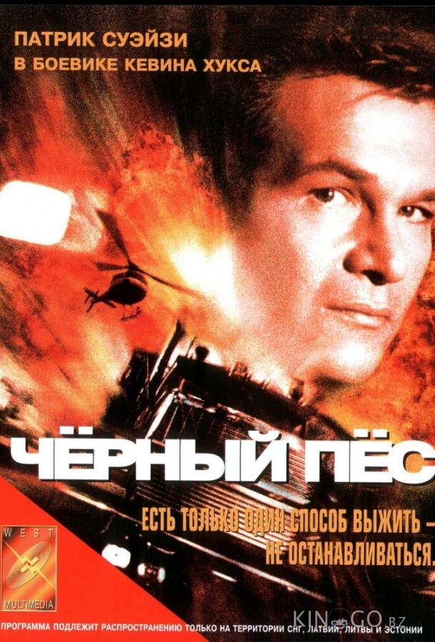 Черный пес 