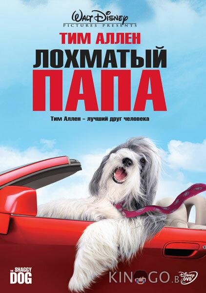 Лохматый папа 