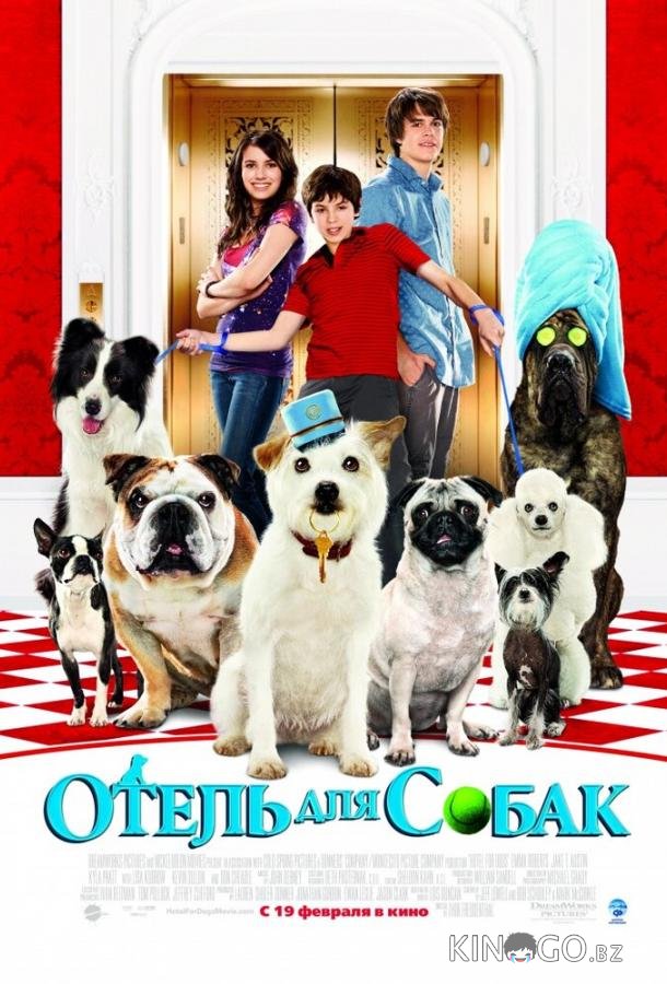 Отель для собак 