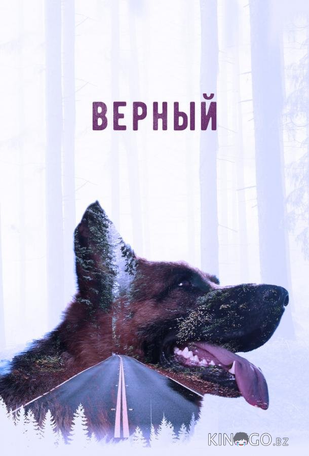 Верный 
