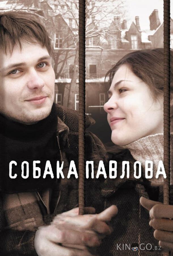 Собака Павлова 