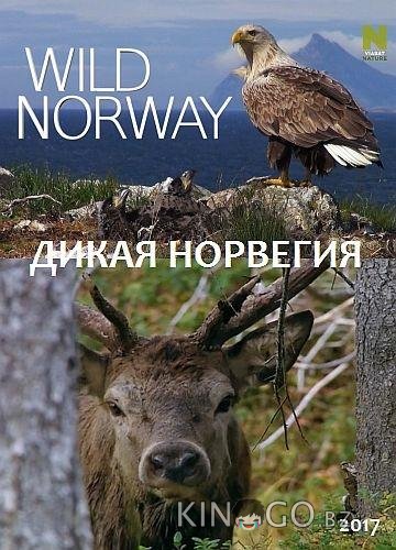 Дикая Норвегия 