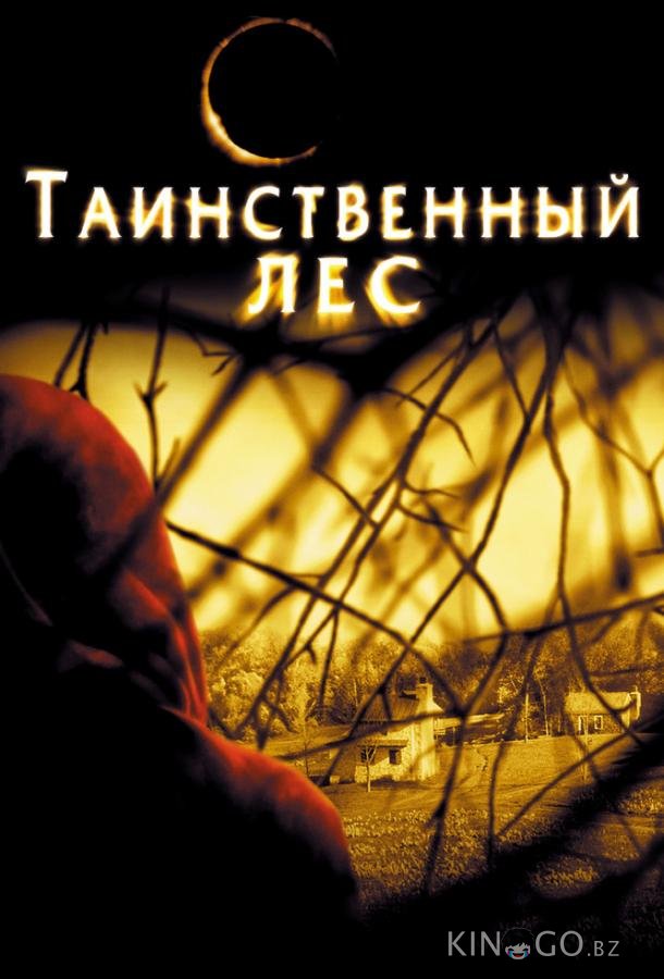 Таинственный лес 