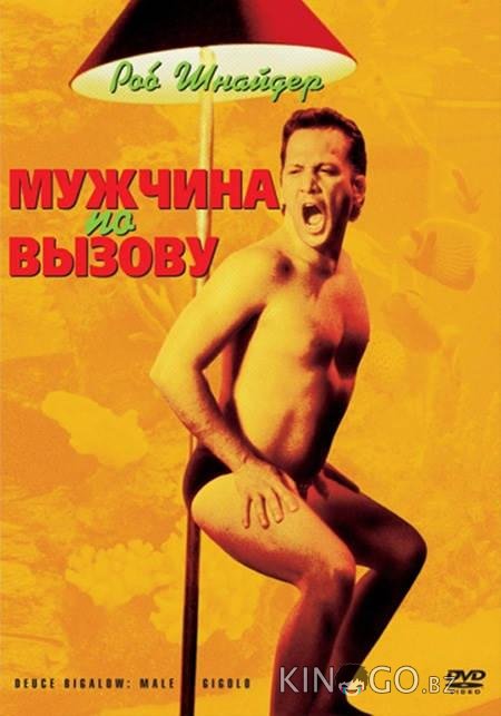 Мужчина по вызову 