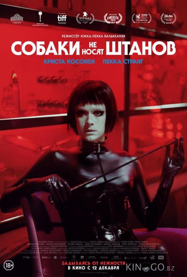 Собаки не носят штанов 
