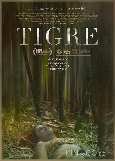 Тигр 