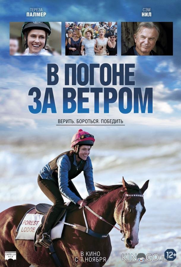 В погоне за ветром 