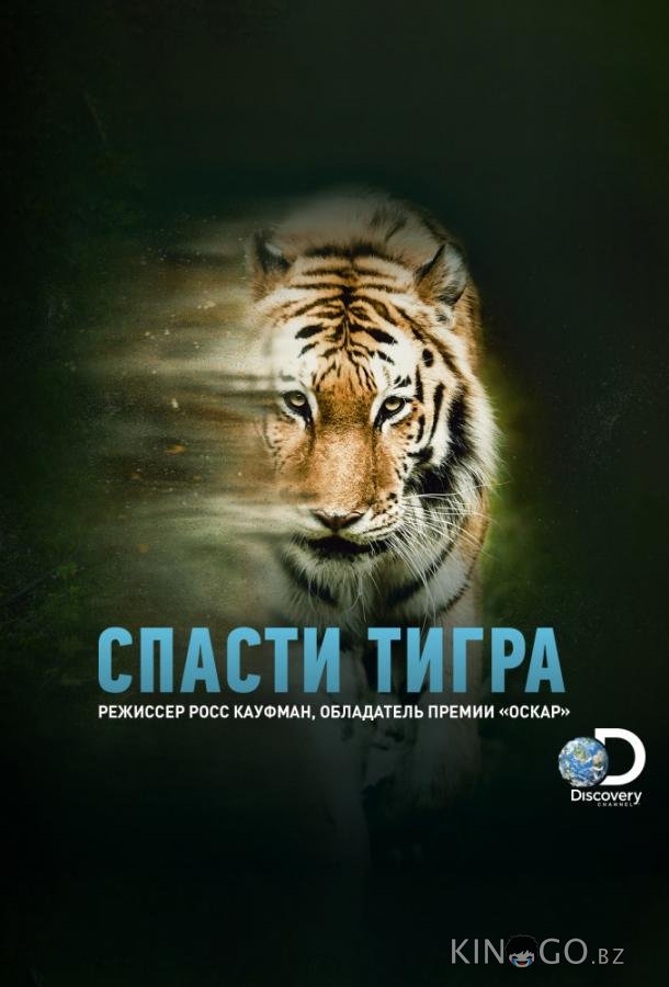 Animal Planet: Спасти тигра 