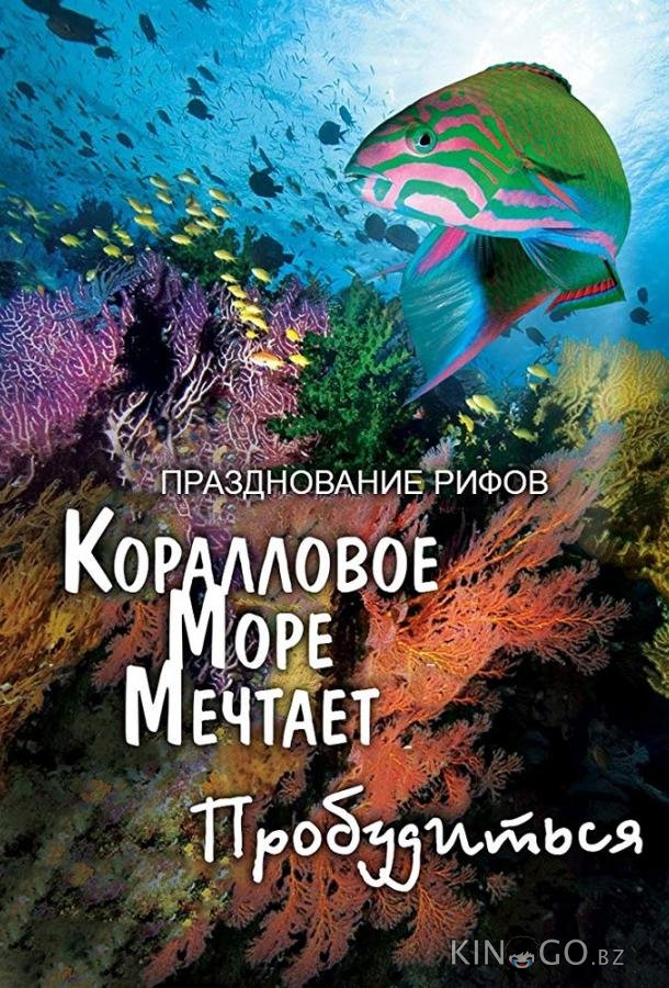 Грёзы Кораллового моря: Пробуждение 