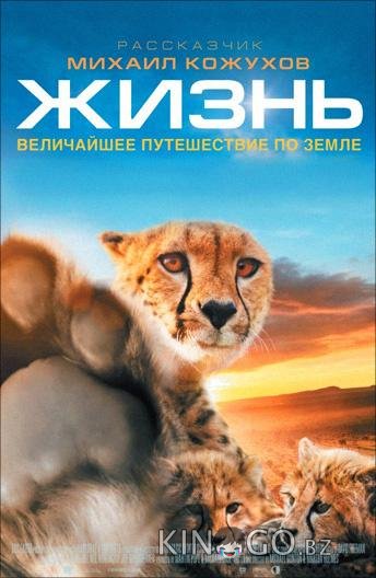 Жизнь 