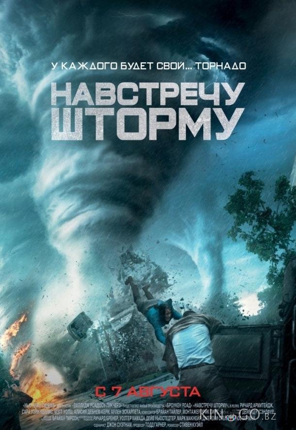 Навстречу шторму 