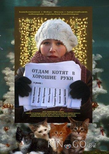 Отдам котят в хорошие руки 