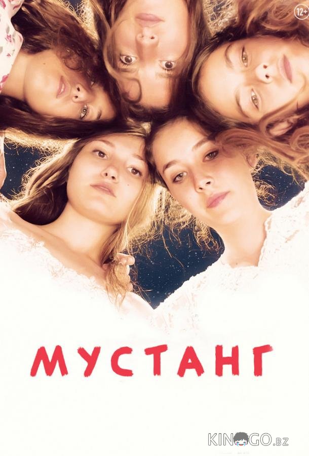 Мустанг 