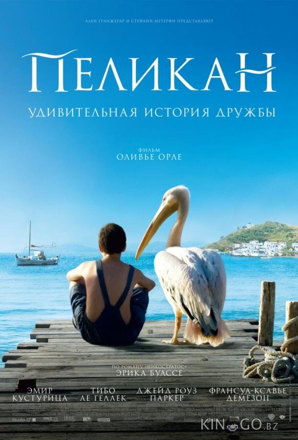 Пеликан 