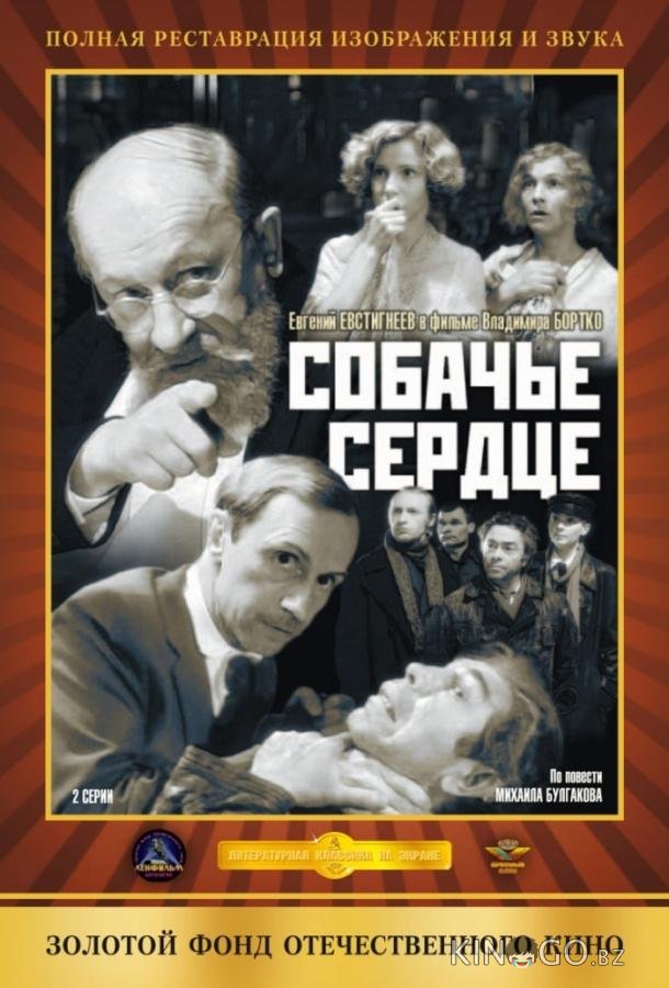 Собачье сердце 