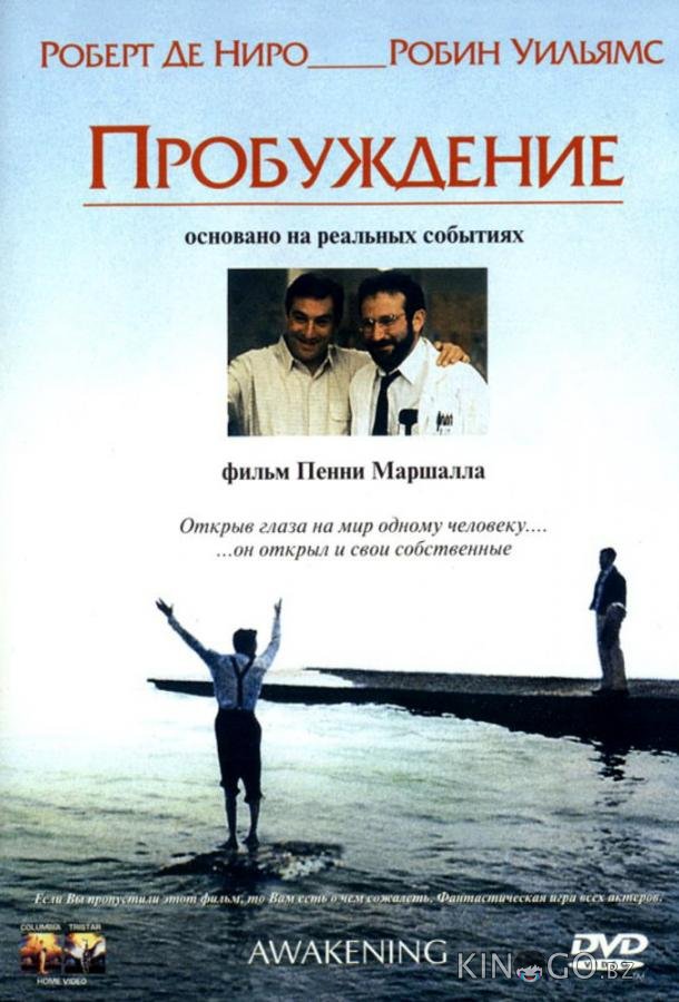 Пробуждение 