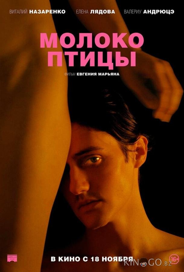 Молоко птицы 
