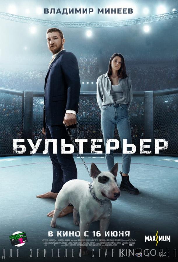 Бультерьер 