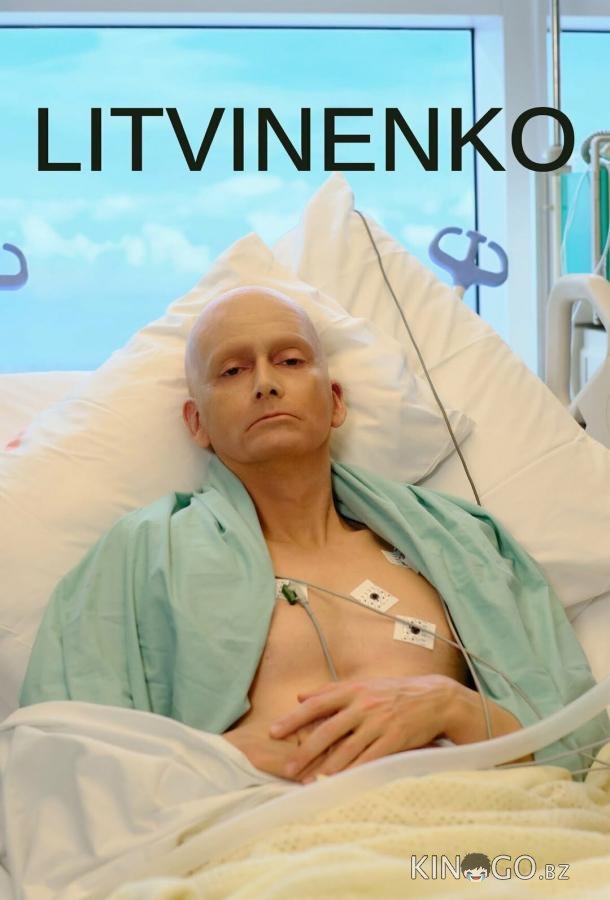 Литвиненко 1 4