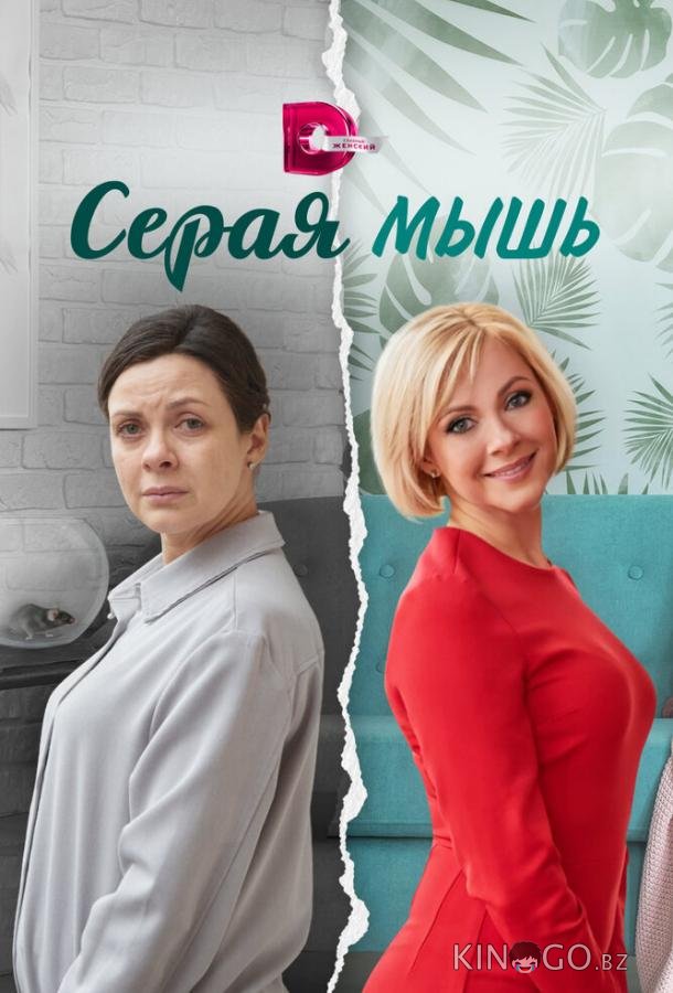 Серая мышь 1 4