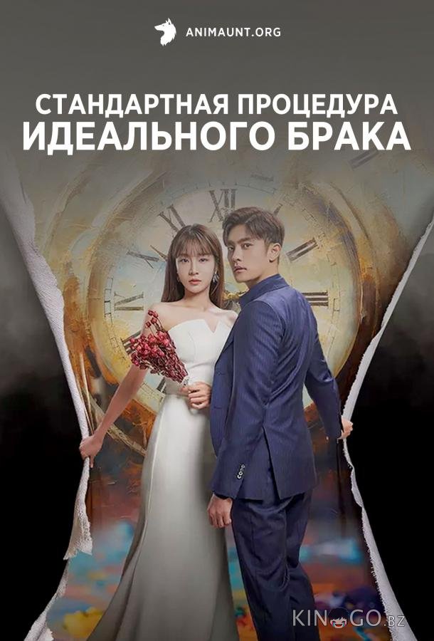 Стандартная процедура идеального брака 1 12