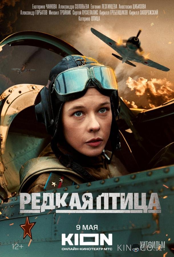 Редкая птица 1 4