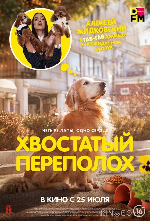 Хвостатый переполох 