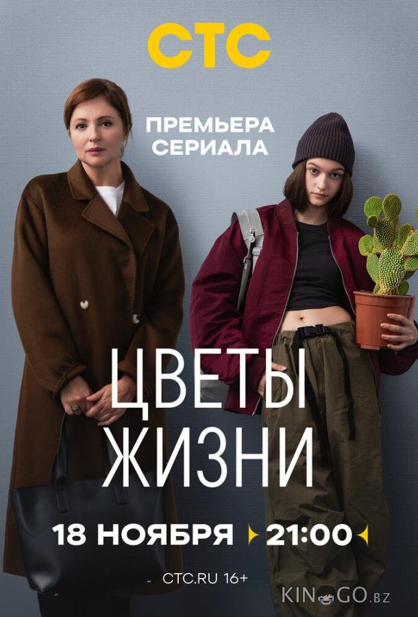 Цветы жизни 1 8