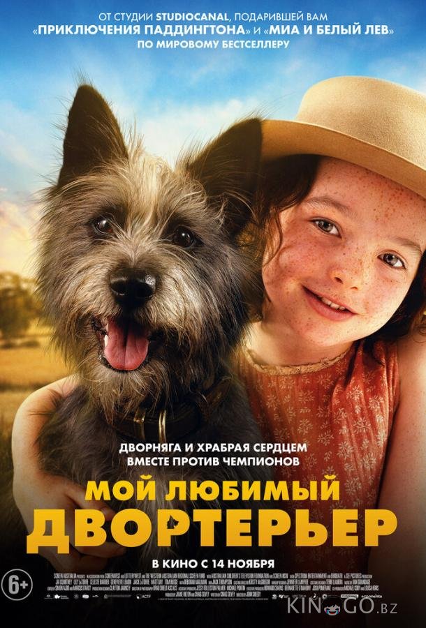 Мой любимый двортерьер 