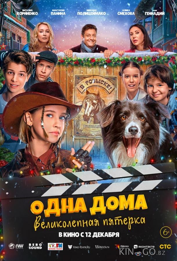 Одна дома: Великолепная пятерка 