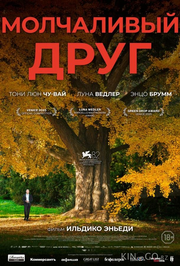 Молчаливый друг 