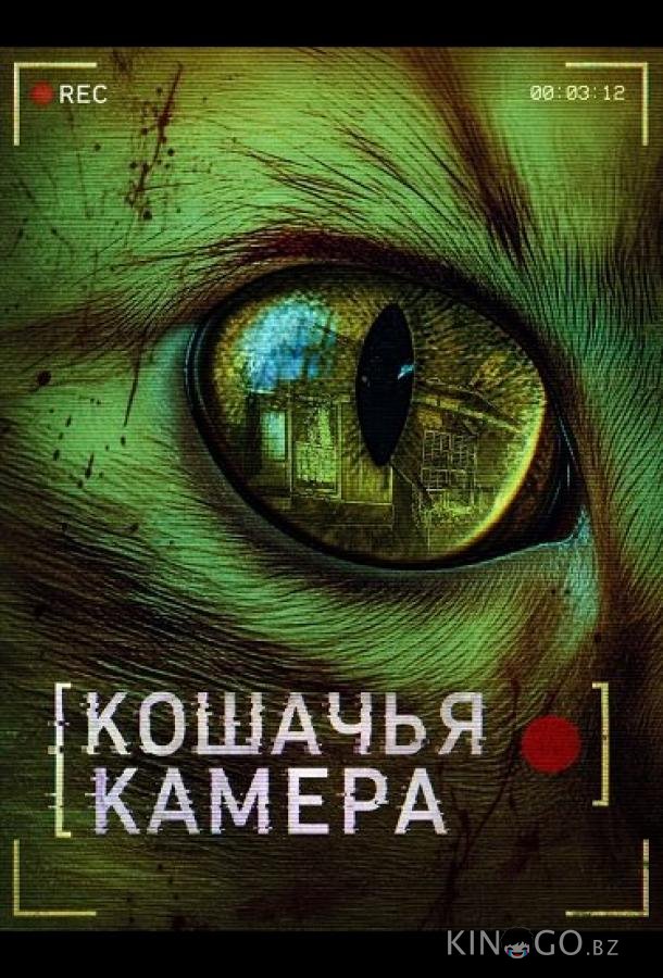 Кошачья камера 