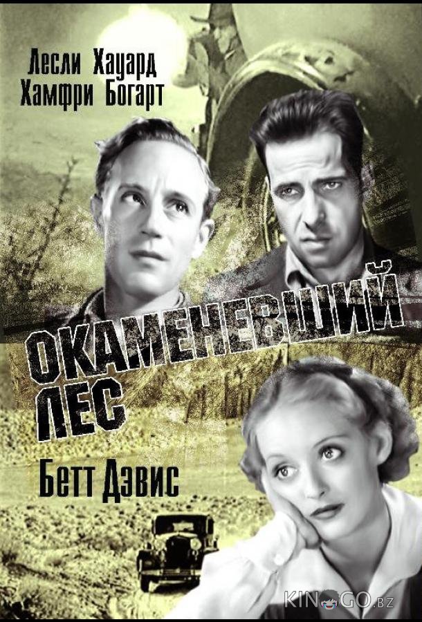 Окаменевший лес 