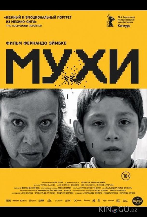 Мухи 