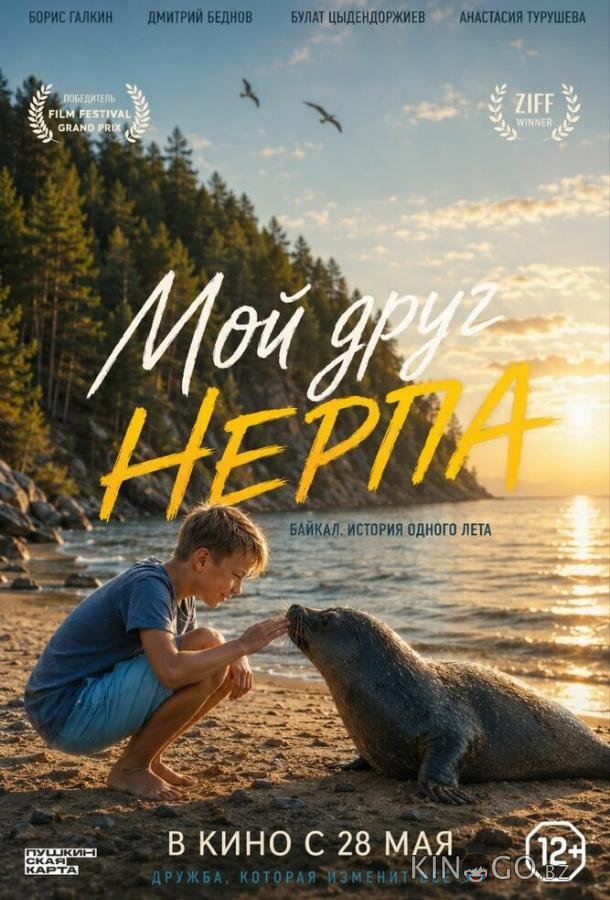 Мой друг нерпа 
